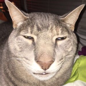 Meet your Posher, Brendan